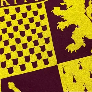 Harry Potter Gryffindor Spirit Starter Pack T-shirt thumbnail 2