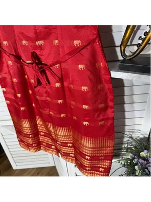 NWOT Thaisilk mod dress red gold elephant sleeveless unique elegant boho costume thumbnail 12