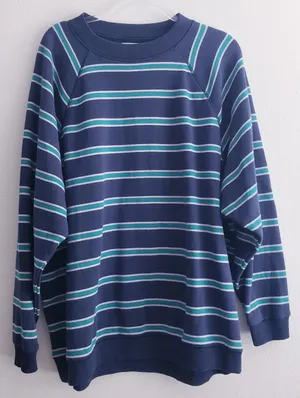 American Eagle Striped Long Sleeve Crew Neckline Sweater thumbnail 1