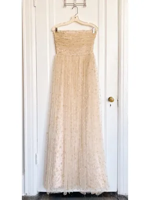 Joanna August • BHLDN Brenda Long Star Gown strapless champagne tulle glitter thumbnail 2