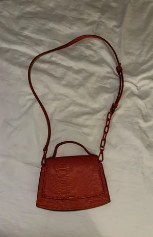 Zara purse thumbnail 1