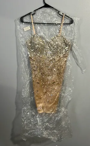 Mini Homecoming Dress Tan Size 2 thumbnail 2