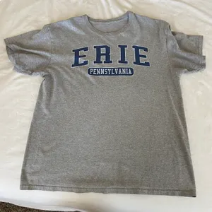 Y2K Erie tee Gray Size L thumbnail 2