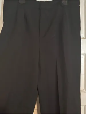 Steve Madden Black Wide-Leg Pleated Trousers thumbnail 9