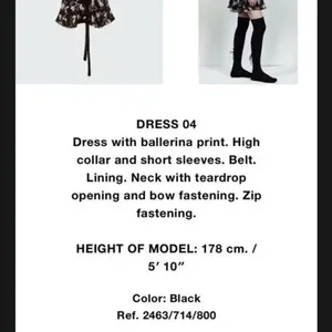 ✨Zara Studio Ballet Print Ruffle Sz Xs/S Dress✨ thumbnail 5