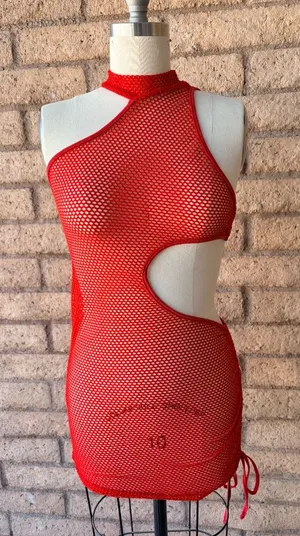 Shein | Red Fishnet Mesh Cutout Mini Dress | L thumbnail 1