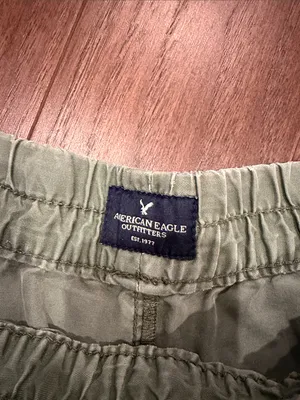 American Eagle Outfitters Green Pull On-Style Shorts Size Large - C27-185 thumbnail 2