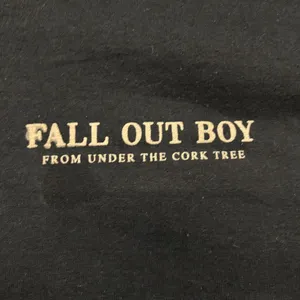 Fall Out Boy From Under the Cork Tree Rock Band Zip-Up Hoodie Size Medium thumbnail 4