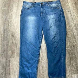 Democracy Artisan Crafted Jeans Size 14 thumbnail 3