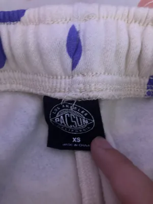 PacSun NWOT  Sweatpants thumbnail 2