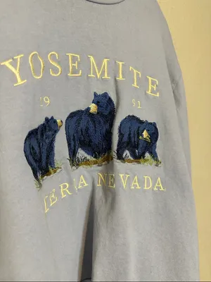 Brandy Melville x John Galt Yosemite Cropped Thick‎ Long Sleeve One Size thumbnail 4