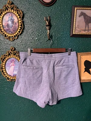 Athleta FARALLON Blue Shorts Size 8 Heathered 4” thumbnail 2