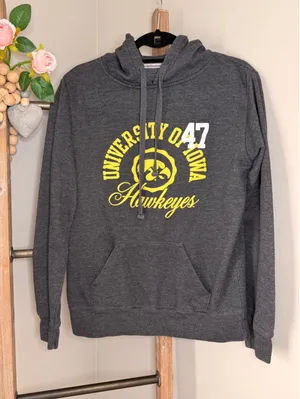 Jones & Mitchell University of Iowa Hawkeyes Hoodie Grey Glitter Hearts Large thumbnail 1