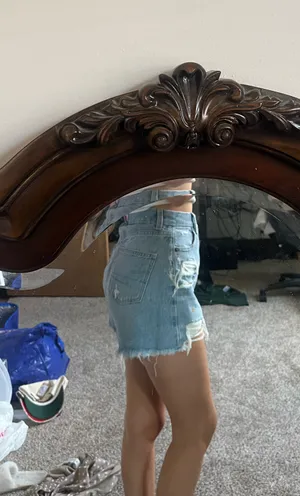 American Eagle Shorts thumbnail 2