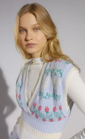 Urban Outfitters Cropped Knit Sweater Vest Floral Strawberry Butterflies Size XS thumbnail 1