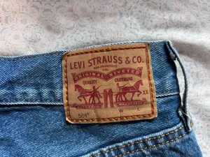 Levi’s Shorts thumbnail 3