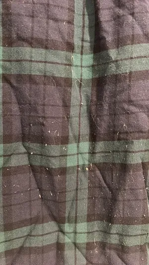 L.L. Bean thumbnail 4