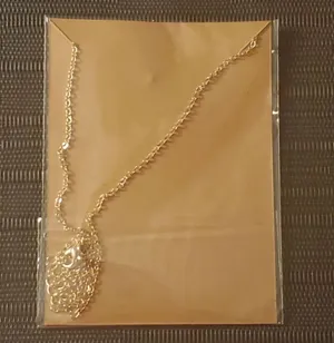 LEO Zodiac Sign Pendant Necklace thumbnail 2