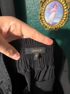 Quince Pull On Black Ankle Pants Sz Small thumbnail 4