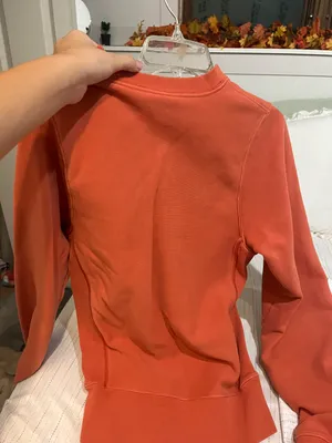 Champion Hoddie thumbnail 3