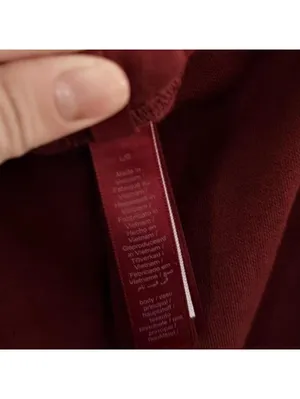 Skims Cotton Fleece Classic Jogger in Brick thumbnail 3