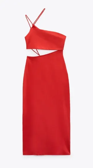 ZARA Dress thumbnail 1