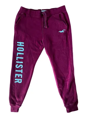 HOLLISTER Graphic Logo Deep Red Sweatpants Fleece Jogger | S thumbnail 1
