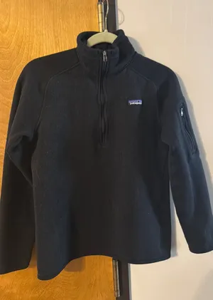 Patagonia Sweater Fleece thumbnail 1