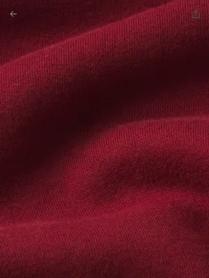 NEW SKIMS Cotton Fleece Pullover Hoodie Sweatshirt Merlot - Women XS $88 thumbnail 5