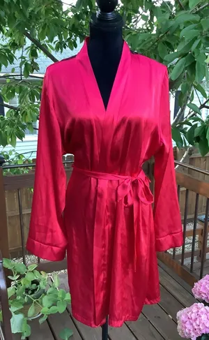 Apt. 9 Nice satin robe 🔥🔥 thumbnail 1