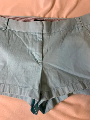 J.Crew Shorts thumbnail 1