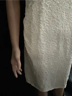 Pink Blush Women’s Lace Overlay Off-Shoulder Midi Dress in Ivory LG NWT thumbnail 6