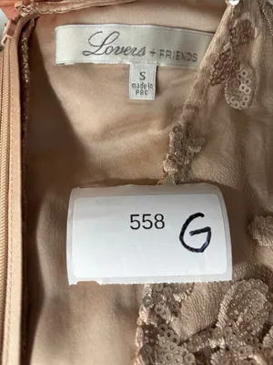Lovers + Friends Blush Sequin Floral V-Neck Mini Dress thumbnail 13