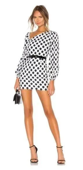 Lovers and Friends Andy Mini Dress in Black & White XS thumbnail 1