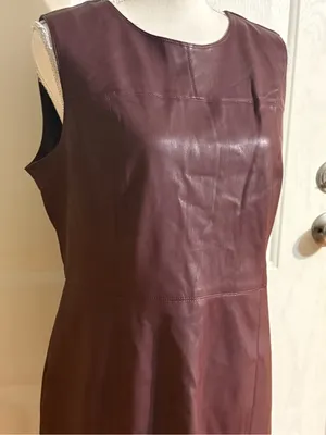 Ann Taylor Sleeveless Faux Leather Shift Dress in Deep Plum size 12 thumbnail 3