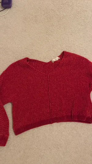 TJ Maxx Sweater thumbnail 3