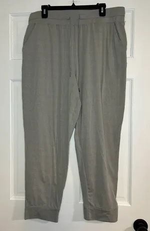 American Eagle Jogger NWT thumbnail 1