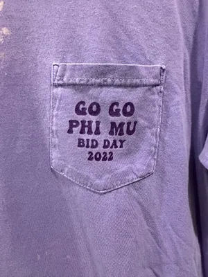 Comfort Colors Go Go Phi Mu Bid Day Tee thumbnail 3