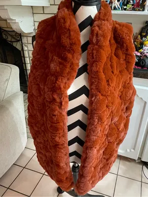 Rachel Zoe Vest Women Lg Faux Fur Sleeveless Lined Pockets Boho Chic Fall Color thumbnail 9