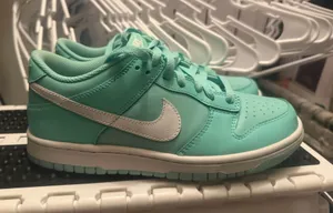 Nike Dunk thumbnail 1