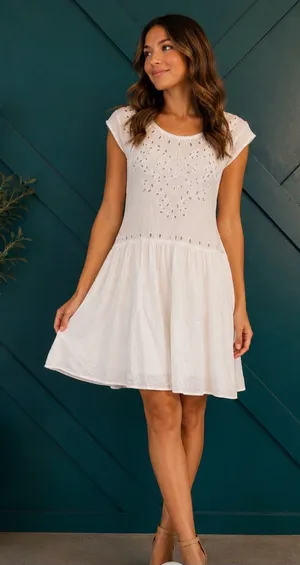 American Eagle Outfitters White Eyelet Embroidered Babydoll Mini Dress Coverup thumbnail 1