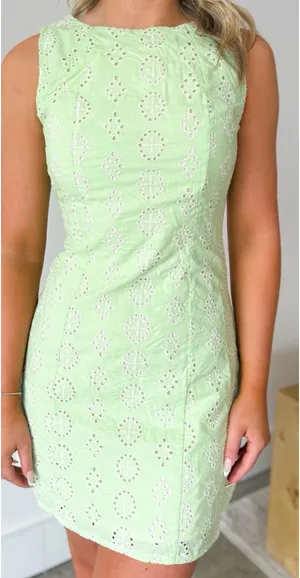 Sienna Eyelet Lace Mini Dress thumbnail 1