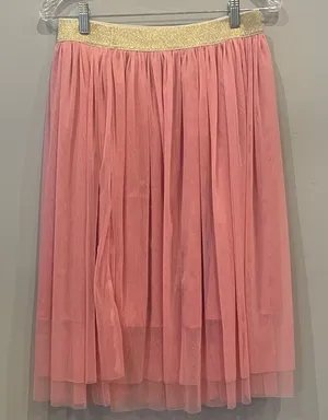 Soft Pink Tulle Midi Skirt with Gold Elastic Waistband thumbnail 1