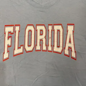 NEW Florida Graphic T-Shirt Womens S Blue V-Neck Short Sleeve‎ Casual Top Tee thumbnail 4