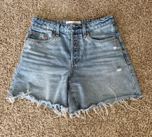 Aritzia Shorts thumbnail 1