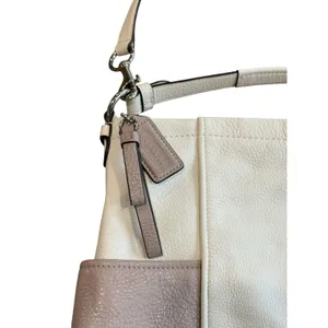 Coach Park Colorblock Leather Hobo Shoulder Bag Parchment Putty F31304 Silver thumbnail 4