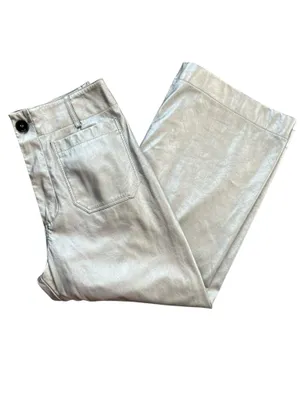 Anthropologie Maeve Women’s The Colette Silver Metallic Wide Leg Pants Size 30 P thumbnail 10