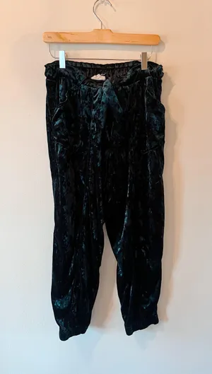 Velvet Paperbag Pants thumbnail 1