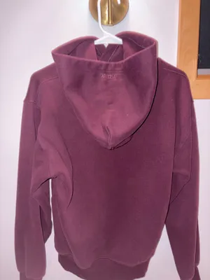 Aritzia Hoodie thumbnail 1