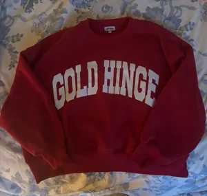 Gold Hinge thumbnail 1
